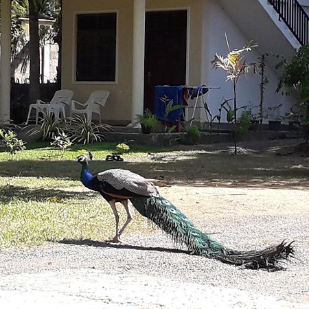 Golden Beach Rest Hotel Tangalle Luaran gambar